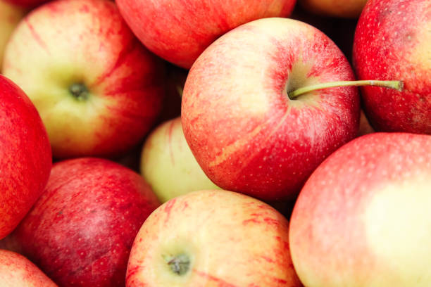 istock Red yellow fresh apples group of apples background 1143099025