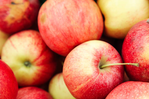 istock Red yellow fresh apples group of apples background 1143099164