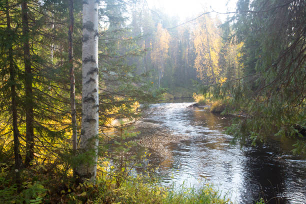 istock Beautiful autumn landscape 1143099178