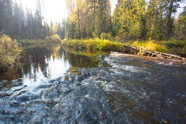 istock Beautiful autumn landscape 1143099268