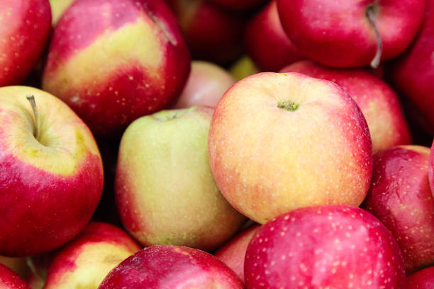 istock Red yellow fresh apples group of apples background 1143099317