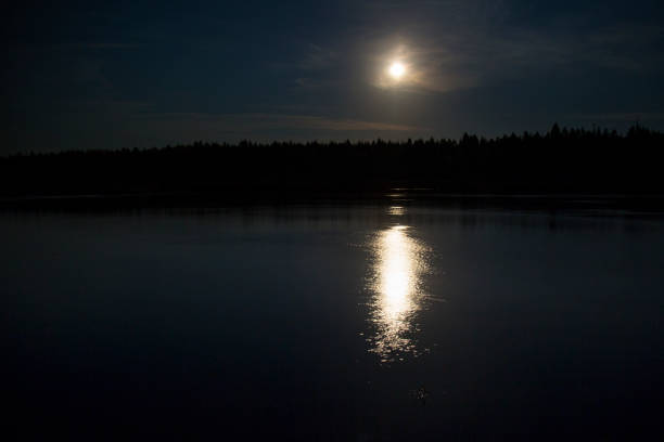 istock Night landscape on the river with the moon. 1143099376