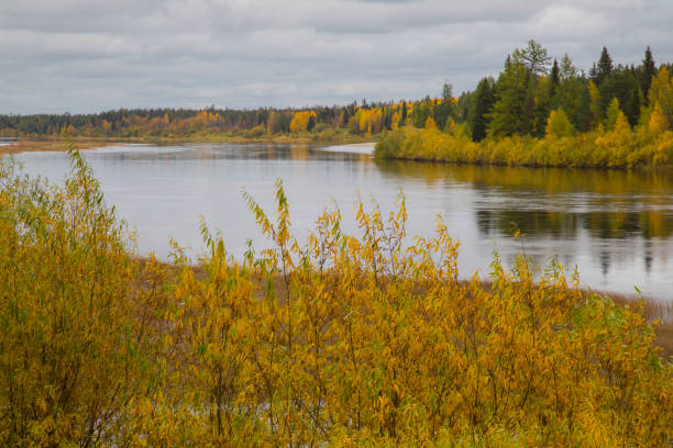 istock Beautiful autumn landscape 1143099429