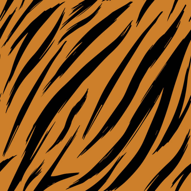 Tiger Vector Texture 80+ Tiger Fell Illustrations, Royalty-Free Vector Graphics & Clip Art ...