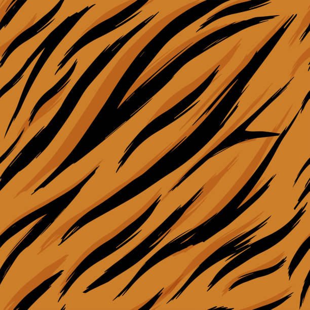 Tiger Vector Texture 80+ Tiger Fell Illustrations, Royalty-Free Vector Graphics & Clip Art ...