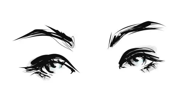 Vector illustration of Painted female eyes