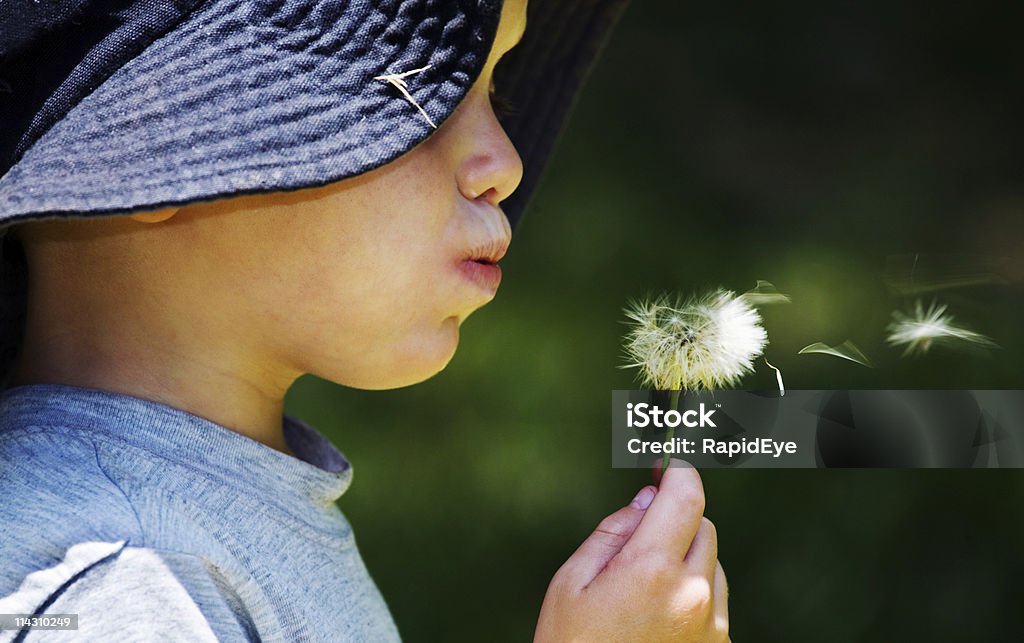 Garçon souffler Fleur de pissenlit - Photo de Activité de loisirs libre de droits