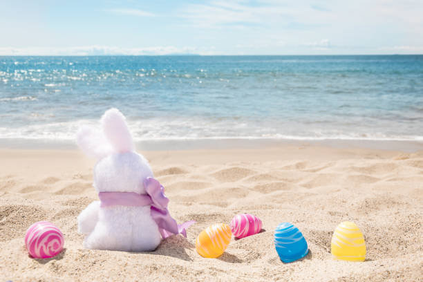 Easter bunny with color eggs on the ocean beach stock photo