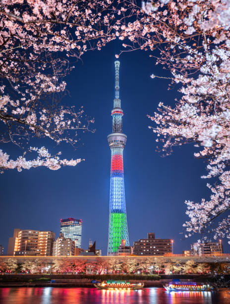 tokyo skytree tower sakura cherry blossom long exposure at night paralympic red blue green colors flag. Japan 3 april 2019 - Tokyo, Japan: Tokyo Skytree Tower at night lit up with paralympic colors flag (red, blue, green) rounded with cherry trees in april sakura. tokyo prefecture tokyo tower japan night stock pictures, royalty-free photos & images