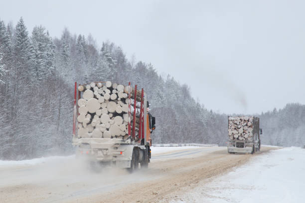 istock Logging truck on the highway in winter. 1143109240