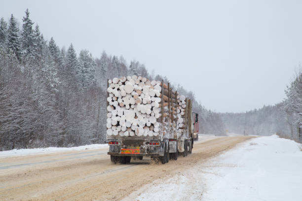 istock Logging truck on the highway in winter. 1143109283