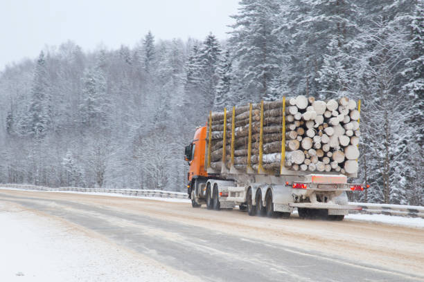 istock Logging truck on the highway in winter. 1143109318