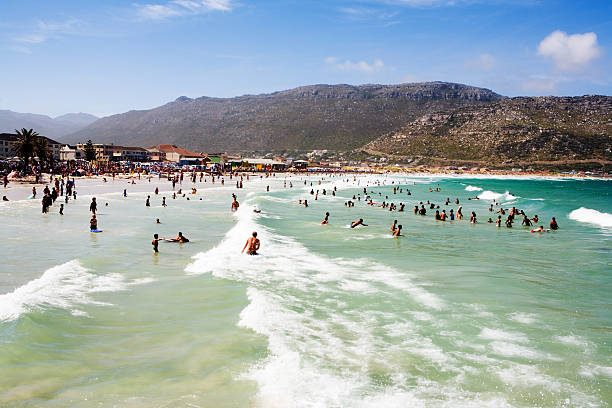 diversão de verão, surf - cape town beach crowd people imagens e fotografias de stock