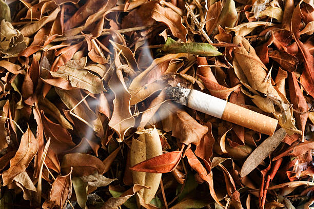 Fire hazard  cigarette fire stock pictures, royalty-free photos & images