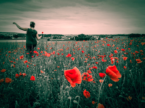 remembrance world war I, woman in khakis in a field of poppies in Flanders