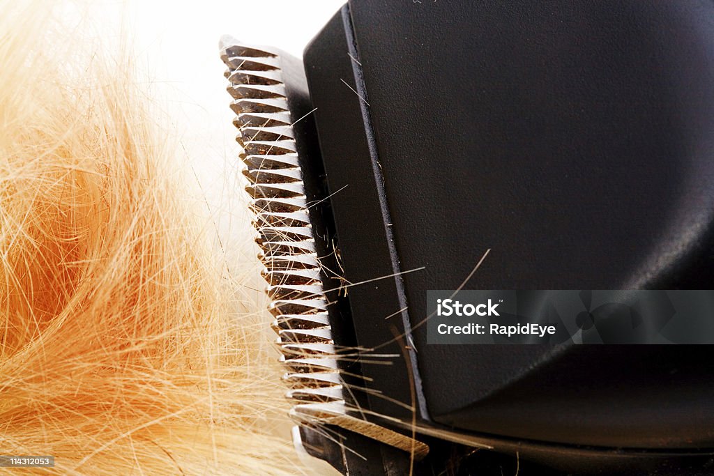 Corte de cabello - Foto de stock de Afeitadora eléctrica libre de derechos