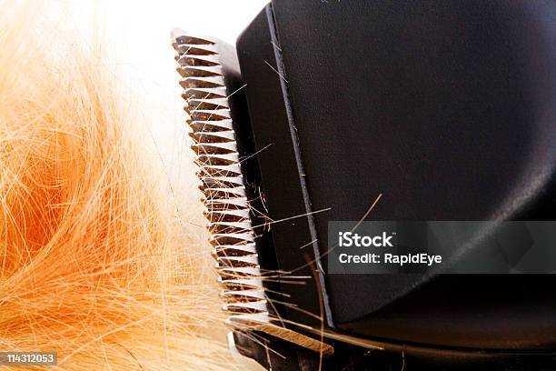 Corte De Cabello Foto de stock y más banco de imágenes de Afeitadora eléctrica - Afeitadora eléctrica, Cabello humano, Color - Tipo de imagen