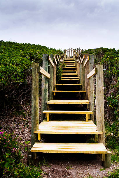 istock Wooden stairway 114312324