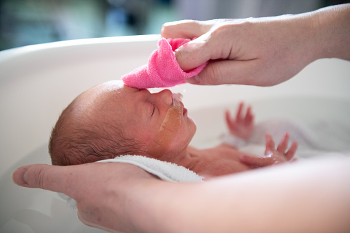 Los padres dan un baño envuelto a su bebé en el hospital prematuro photo