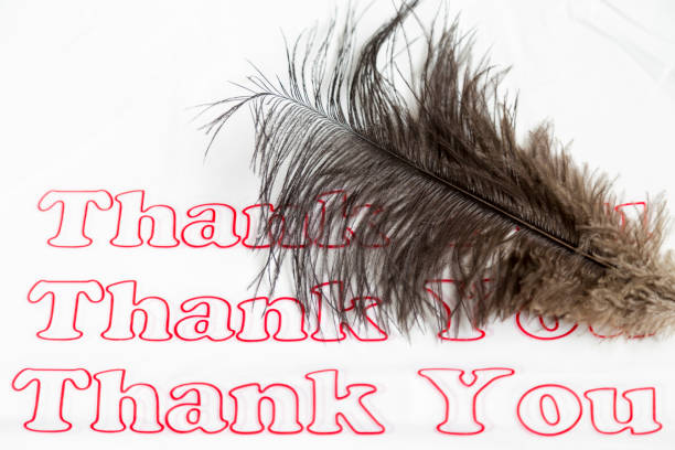 istock Ostrich Feather on Plastic Shopping Bag 1143137631