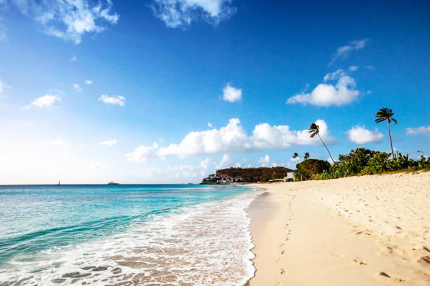 istock Darkwood beach, Antigua & Barbuda 1143146587