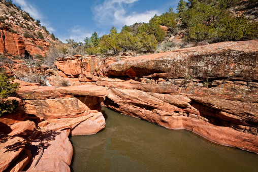 The historic Bell Trail was built in the rugged canyon of Wet Beaver Creek in 1932. Wet Beaver Creek is in Yavapai County near Camp Verde, Arizona, USA. Rancher Charles Bell needed the trail to move his cattle up and down the Mogollon Rim. Today, the Bell Trail is used mainly for recreational purposes. The \