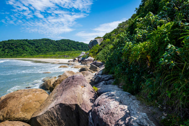Encantadas Beach in Ilha do Mel (Honey Island) in Parana coast - Southern Brazil