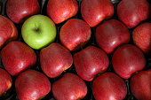 One Green Apple among the Reds