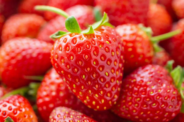 verse organische rode rijpe aardbei fruit achtergrond close-up - strawberry stockfoto's en -beelden