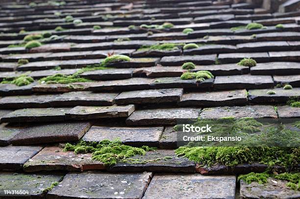 Foto de Moss No Saibro Telhado De Azulejo e mais fotos de stock de Apodrecer - Apodrecer, Azulejo, Barro