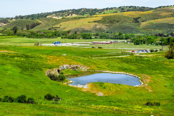 prados cubiertos de césped verde y pequeño estanque en rancho san vicente, parte del parque del condado de calero, condado de santa clara, área de la bahía del sur de san francisco, san josé, california - hill green california grass fotografías e imágenes de stock