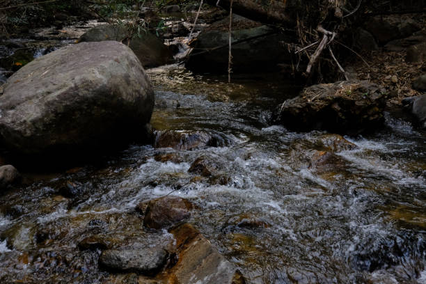 istock creek water stream waterfall flowing in forest at dusk 1143165649