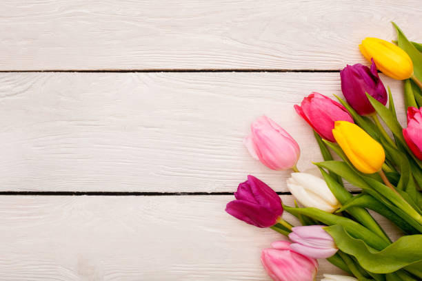 istock Spring decorations objects isolated on wooden background tulips in the corner 1143165685