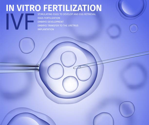 ilustrações de stock, clip art, desenhos animados e ícones de in vitro fertilization of human female cell macro - egg cell