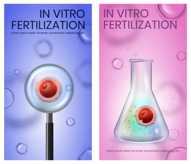 ilustrações de stock, clip art, desenhos animados e ícones de female egg fecundation inside of test tube. ivf - human pregnancy tube nobody group of objects