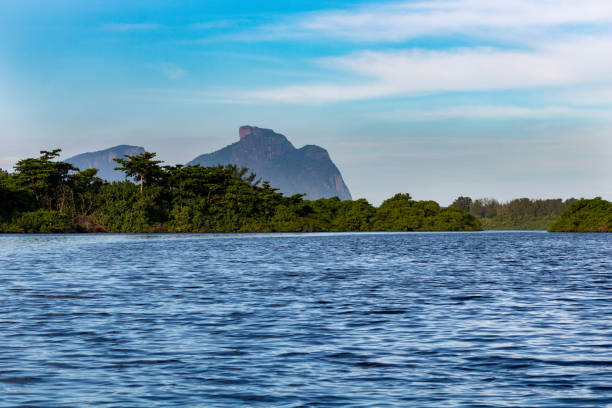 laguna marapendi w dzielnicy barra da tijuca, zachodnia strona rio de janeiro, brazylia – góra skalna gavea na tle - brazil lagoa water sea zdjęcia i obrazy z banku zdjęć