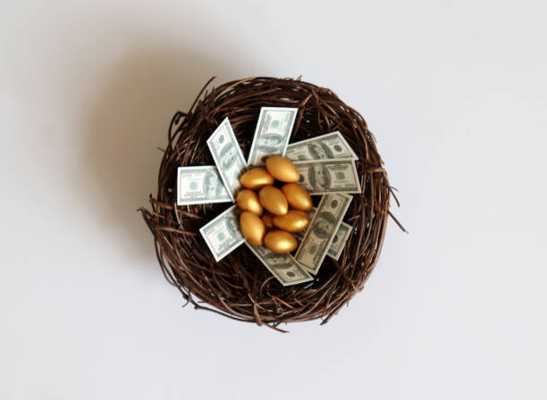 Money with an egg in a nest. Money with an egg in a nest. gold ira companies for beginners stock pictures, royalty-free photos & images