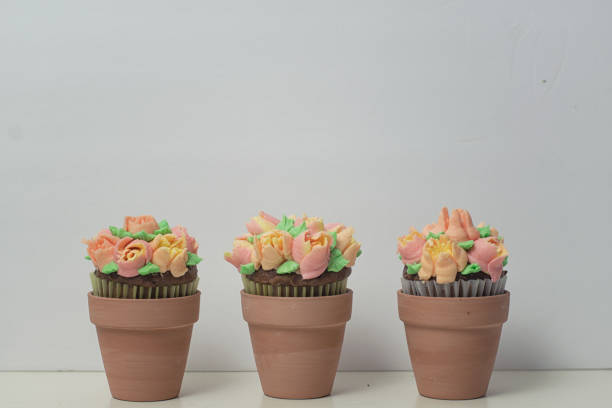 istock Garden Party Themed Cupcakes in Terracotta Pots 1143169336