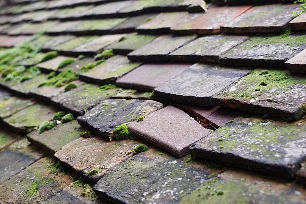Photo of Closeup view of cracked roof tiles with moss