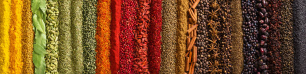 panorama spices and herbs for food labels. seasonings and flavors background - mixed herbs imagens e fotografias de stock