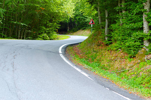 istock Winding Woodland Road 114317197
