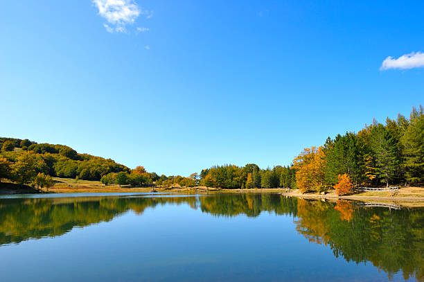 outono lago serenas - wood tranquil scene serene people lake imagens e fotografias de stock