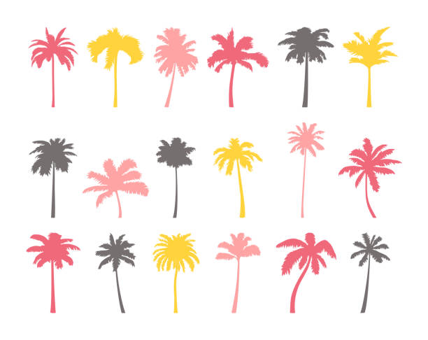 illustrations, cliparts, dessins animés et icônes de noix de coco palm tree silhouette icône ensemble. - palm tree leaf tree frond