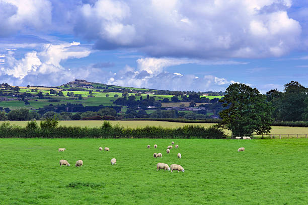 istock English Countryside Summer Scenic 114318042