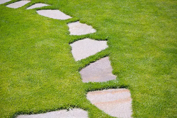Photo of Garden Stepping Stone Path through Green Grass Lawn