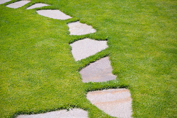 caminho de pedra de jardim pisar a relva verde relva - stone walkway imagens e fotografias de stock