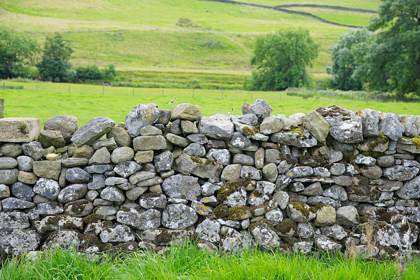 secar la pared de piedra en yorkshire dales - pared de piedra fotografías e imágenes de stock