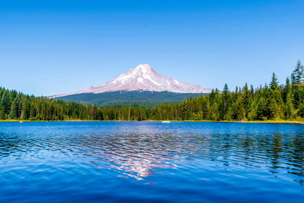 Landscape of the picturesque Trillium Lake surrounded by forest overlooking Mount Hood and the reflection of snowy mountain in the clear water of the lake Landscape of the picturesque Trillium Lake surrounded by forest overlooking Mount Hood and the reflection of snowy mountain in the clear water of the lake where people like to rest mt hood photos stock pictures, royalty-free photos & images