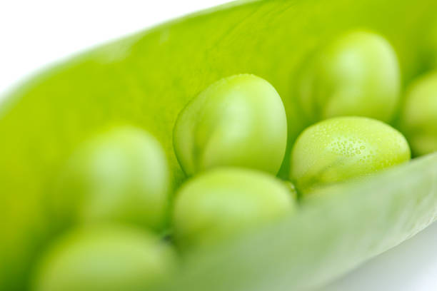 close-up de fresco verde peas in a pod série - conformity like two peas in a pod green pea pod imagens e fotografias de stock