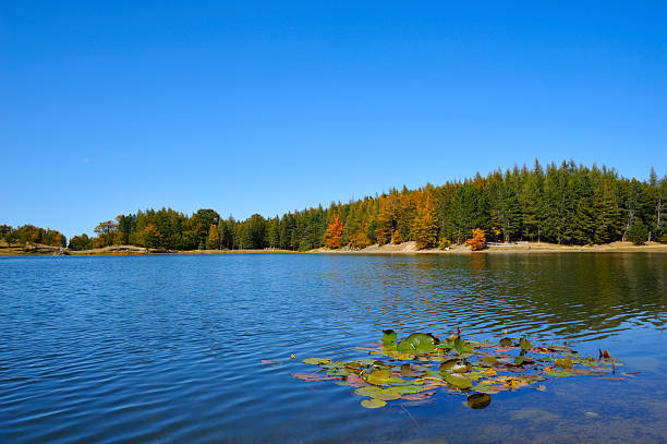 Seven lakes national park natural habitat